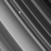 NASA's Cassini spacecraft looks through the dense B ring toward a distant star in an image from a recent stellar occultation observation.