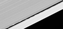 Daphnis drifts through the Keeler gap, at the center of its entourage of waves as seen by NASA's Cassini spacecraft.