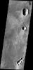 This image is from NASA's 2001 Mars Odyssey. THEMIS ART IMAGE #68 Multiple craters on Mars look like bugs. Is that an ant at the bottom and a bumble-bee at the top?