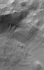 This image from NASA's Mars Global Surveyor shows gullies on the wall of a martian south mid-latitude impact crater. The channels in each gully head beneath an eroding overhang of layered rock.
