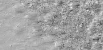 This image from NASA's Mars Global Surveyor shows a delicate pattern, like that of a spider web, appears on top of the Mars residual polar cap, after the seasonal carbon-dioxide ice slab has disappeared.