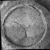 This image shows a circular indentation in a rock surface surrounded by rock powder. The bottom of the circular indentation has a trio of cracks that intersect in the center. The embedded in the ground surface are tiny roundish grains of rock.