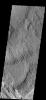 Wind action in the Medusae Fossae region is creating yardangs in the easily eroded material on Mars as seen by NASA's Mars Odyssey spacecraft.