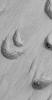 NASA's Mars Global Surveyor shows crescent-shaped, scooped-out hollows where wind has eroded the local bedrock in the Apollinaris Sulci region on Mars.