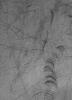 NASA's Mars Global Surveyor shows streaks and scratch marks made in a thin coating of dust on the martian surface in the southern hemisphere made by passing dust devils during the summer season.
