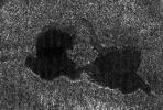 NASA's Cassini radar image shows two lakes 'kissing' each other on the surface of Saturn's moon Titan. The image from a flyby on Sept. 23, 2006, covers an area about 60 kilometers (37 miles) wide by 40 kilometers (25 miles) high.
