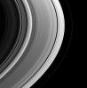This view of the unlit side of Saturn's rings captures the small shepherd moon Pandora as it swings around the outside of the F ring. This image is from NASA's Cassini spacecraft.