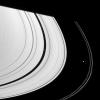 The effects of three of Saturn's ring moons can be spotted in this single narrow-angle camera view captured by NASA's Cassini spacecraft.