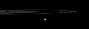 NASA's Cassini spacecraft spies two of the small, irregular moons that patrol the outer edges of Saturn's main rings.