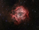 This image from NASA's Spitzer Space Telescope is of the Rosette nebula, a turbulent star-forming region located 5,000 light-years away in the constellation Monoceros. 