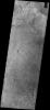 This image from NASA's Mars Odyssey spacecraft shows dust devil tracks located in Noachis Terra, south of Proctor Crater.