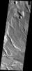 This image from NASA's Mars Odyssey spacecraft shows fractures of Nectaris Fossae filled with small bright dunes. The dunes often look like tractor tread marks running along the bottom of the fractures.