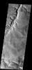 This image from NASA's Mars Odyssey spacecraft shows a small portion of Samara Vallis on Mars. This portion of Samara Vallis has numerous tributaries.