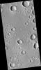 A Field of Secondary Craters