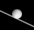 Dione looms large before the rings of Saturn in this image captured by NASA's Cassini spacecraft.
