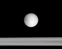 Dione floats past, with Saturn's rings beyond. This image captured by NASA's Cassini spacecraft looks toward the anti-Saturn side of Dione (1,126 kilometers, or 700 miles across).