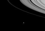 NASA's Cassini spacecraft looks down toward Janus, which hugs the outer edges of Saturn's rings. Janus orbits Saturn beyond the narrow core of the F ring in this image captured on Nov. 25, 2007.