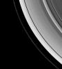 Saturn's shepherd moons, Prometheus and Pandora, gravitationally herd the F ring's particles into a narrow thread. Prometheus is inside the ring's inner edge in this image take by NASA's Cassini spacecraft on Jan. 26, 2008.
