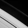 This image taken by NASA's Cassini spacecraft shows Atlas, one of two moons that ply Roche Division -- the region between Saturn's A and F rings. Prometheus also orbits within this division.