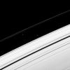Two of Saturn's ring moons, Atlas and Prometheus, draw close momentarily, before the inner of the pair moves off alone in this image from NASA's Cassini spacecraft taken on Apr. 15, 2008.