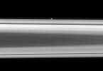 The flattened, potato-like form of Prometheus gliding silently within the Roche Division, between Saturn's A and F rings was captured by NASA's Cassini spacecraft on May 2, 2008.