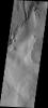 This image from NASA's Mars Odyssey spacecraft shows a small protion of Zephyris Planum, a region south of Elysium Planitia. Winds have scoured the region removing loose materials and scultping the rocks.