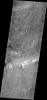 This image from NASA's Mars Odyssey spacecraft shows numerous dust devil tracks criss-cross the floor of an unnamed crater east of Kaiser Crater.
