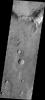 This image from NASA's Mars Odyssey shows dust devil tracks located in Noachis Terra.
