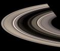 Saturn's rings burst out of shadow and curve gracefully around the planet. Prometheus and Atlas are also visible, faintly, just outside the A ring edge in this image captured by NASA's Cassini spacecraft on July 4, 2008.
