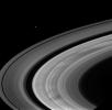 Broad, dark spokes in the B ring are clearly seen in this image of Saturn's rings taken by NASA's Cassini spacecraft on Oct. 19, 2008.