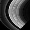 A large group of spokes emerges from Saturn's shadow in this image taken on Nov. 2, 2008 by NASA's Cassini spacecraft of the morning side of the rings.