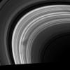 The ghostly features in Saturn's B ring called spokes are making an appearance again as NASA's Cassini spacecraft continued its tour of the Saturn system on Nov. 26, 2008.