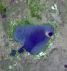 If you live in Europe and buy roses, the chance is good that they were grown in Kenya -- specifically, in one of the colossal greenhouses that blot out the once wild shores of Lake Naivasha, 90km north-west of Nairobi. Image from NASA's Terra satellite.