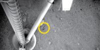 This image, acquired by the Robotic Arm Camera on NASA's Phoenix Mars Lander, shows a spring on the ground under the lander near a footpad. This spring was released from the lander when the biobarrier was opened to free the Robotic Arm.
