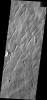 This image from NASA's Mars Odyssey shows Hecates Tholus at the northernmost of the Elysium volcanoes, featuring many channels.