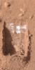 This color image was acquired by the Surface Stereo Imager on NASA's Phoenix Mars Lander on the 21st day of the mission, or Sol 20 (June 15, 2008). It shows lumps of ice in the lower left corner of a trench nicknamed 'Dodo-Goldilocks.'