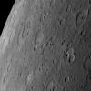 Peak Rings on Mercury