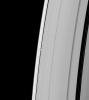 Undulations mark both sides of the path of Saturn's moon Daphnis through the A ring as seen in this image taken by NASA's Cassini spacecraft on Feb. 1, 2009.