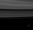 The rings share this view with Saturn's moon Mimas, whose gravity influences the rings in this image taken by NASA's Cassini Orbiter.