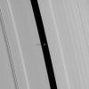 Saturn's small moon Pan, brightly overexposed, casts a short shadow on the A ring in this image taken by NASA's Cassini spacecraft before the planet's August 2009 equinox.