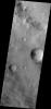 This image from NASA's Mars Odyssey shows dust devil tracks in Aonia Terra.