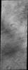 The dust devil tracks in this image are located in Terra Sirenum on Mars as seen by NASA's Mars Odyssey spacecraft.