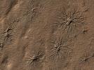 The High Resolution Imaging Science Experiment camera on NASA's Mars Reconnaissance Orbiter captured this image of spider-shaped features on Mars, carved by vaporizing dry ice.