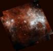 In this infrared view from the Herschel Observatory, a European Space Agency mission, blue shows the warmest dust, and red, the coolest. The choppy clouds of gas and dust are just starting to condense into new stars.