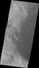 This image from NASA's Mars Odyssey shows part of the dune field on the floor of Rabe Crater on Mars.