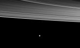 Two of Saturn's moons orbit beyond four of the planet's rings in this image from NASA's Cassini spacecraft. From the top right of the picture are the C, B, A, and thin F rings, the small moon Pandora and, near the middle of the image, the moon Enceladus.
