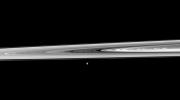 Janus, passing between the rings and NASA's Cassini orbiter, poses for a snapshot taken by the spacecraft's narrow-angle camera.