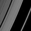Shadows are cast by Daphnis and the moon's attendant edge waves in this image from NASA's Cassini spacecraft taken about a month and a half before the Saturn's August 2009 equinox.