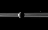 A pair of small moons join Saturn's second largest moon in this NASA Cassini spacecraft image spotlighting Rhea in front of the rings. Janus is seen beyond the rings on the right and Prometheus is visible between the main rings and thin F ring on left.