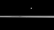 Saturn's small, potato-shaped moon Prometheus appears embedded within the planet's rings near the center of this view from NASA's Cassini spacecraft while the larger moon Mimas orbits beyond the rings.